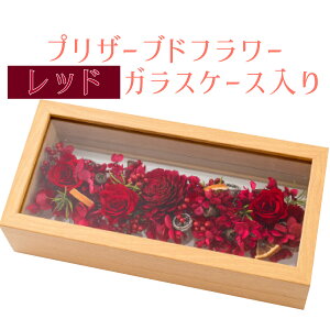 �y�ӂ邳�Ɣ[�Łz�s5�F����I�ׂ�I�t�v���U�[�u�h�t�����[ �K���X�P�[�X���� E-216