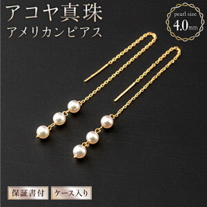 yӂ邳Ɣ[ŁzAR^ AJsAX 4.0mm × 6 H-278 ۏ؏t WG[P[X {^ p[ JWA ItBX p[eB[ Y Yyz