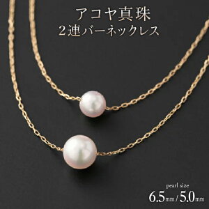 yӂ邳Ɣ[ŁzyVv_łz6.5/5mm AR^ 2Ao[lbNX(K18YGEK18WGEK18PG) ۏ؏t WG[P[X {^ p[ y_g 18 Y Yy