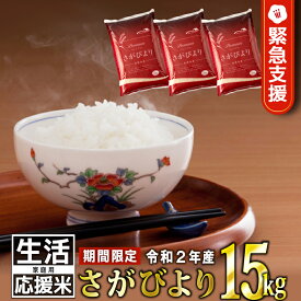 【ふるさと納税】【緊急支援・家計応援米】15kg 令和2年産 さがびより（5kgx3袋）【7月末までに順次発送！】米 10kg プラス 5kg