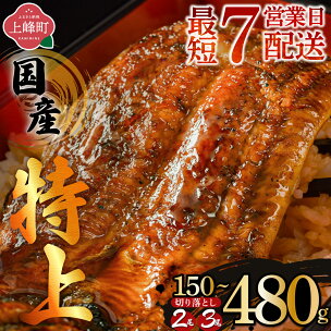 累計30万件突破 丑の日 先行予約 国産 うなぎ 蒲焼 2...