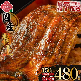 【ふるさと納税】【選べる種類】累計30万件突破！国産 うなぎ特上蒲焼 2尾〜3尾 | 国産うなぎ うなぎ 蒲焼 うなぎ蒲焼 丑の日 先行予約 2尾 3尾 320g 600g 鰻 国産鰻 タレ付き 冷凍 お取り寄せ ギフト 人気 うな重 うなぎ丼 九州 高級食材