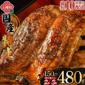 【ふるさと納税】【選べる種類 / 配送枠】《最短10営業日以内発送》累計30万件突破！国産 うなぎ特上蒲焼 2尾〜3尾 | 国産うなぎ うなぎ 蒲焼 うなぎ蒲焼 丑の日 先行予約 2尾 3尾 320g 600g 鰻 国産鰻 タレ付き 冷凍 お取り寄せ ギフト 人気 うな重 うなぎ丼 九州 高級食材
