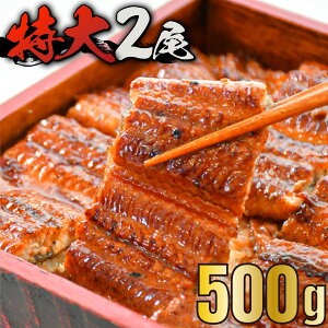 yӂ邳Ɣ[ŁzȂ  2 v500g Y V  ꌧ  񂹃O N̓ B-1035