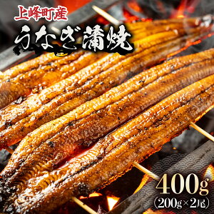 yӂ邳Ɣ[ŁzYȂ200g×2 Y BY V Ђ܂Ԃ Ă ^t Rt  YΏ Ώ 2 v400g ꌧ  