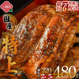【ふるさと納税】【選べる容量】国産うなぎ蒲焼200g×2尾/160g×2尾/3尾（無頭） | 鰻 うなぎ ウナギ 国産 丑の日 うなぎ蒲焼 かばやき 特上 うな重 ひつまぶし タレ うなぎのたれ タレ たれ 冷凍 ギフト プレゼント 贈答用 簡単調理 人気 おすすめ オススメ 九州
