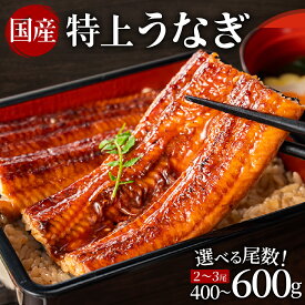 【ふるさと納税】＜丑の日までにお届け＞累計30万件突破　国産 うなぎ 蒲焼 2尾 計400g〜3尾 計600g 選べる配送月 特大 特上 鰻 ウナギ 炭火焼き 宮崎産 鹿児島産 他九州産