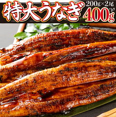 合計400g!! 国産うなぎ蒲焼 (約...
