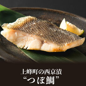 楽天市場 つぼ鯛の通販