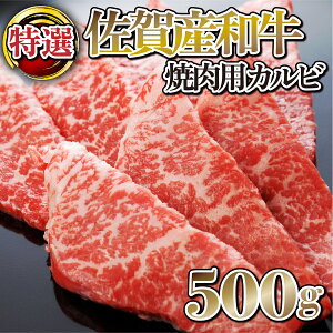 yӂ邳Ɣ[ŁzyYazIJrēp500g