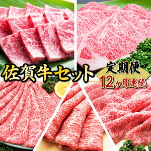 yӂ邳Ɣ[ŁzV49N ꋍZbg(֔N12) ꌧ  uh ~ p 蕨 v[g a p[eB[ j LO   Y a [X J