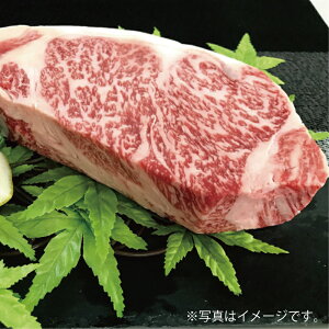 yӂ邳Ɣ[Łzyꋍz[XubNi^^LE[Xgr[tEēj500g