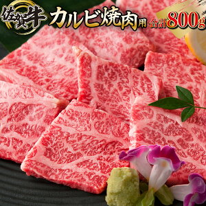 yӂ邳Ɣ[ŁzꋍuJrēpv 800g  a  ē Jr  a LO j 蕨 w Ǝ