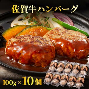 yӂ邳Ɣ[Łzyꋍzno[O 100g×10 Y јa no[O  Ⓚ g₷ uh ٓ  p[eB O 