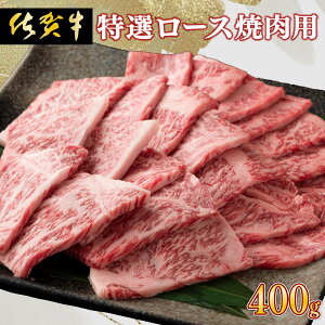 yӂ邳Ɣ[Łz̊Â݂ƃRNIIꋍ[Xēp 400g Y јa ~ BBQ J O y fBi[ Ⓚ [C-612-EK]