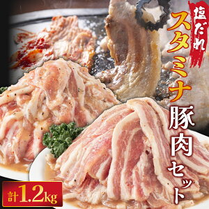 yӂ邳Ɣ[Łz_ X^~i ؓZbg 1200g B-1070-AS@ Y ؓ ē t t ȒP Ă BBQ u pX^ ₫ Ă TMvT