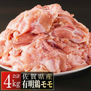yӂ邳Ɣ[ŁzꌧYL{uv4000g@ꌧ  ԗi uh{ Ƒ o[xL[ BBQ Ă g 炠 ƂĂ eq `L p[eB[ ٓ