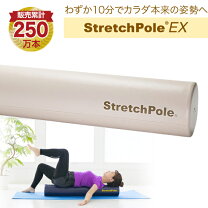楽天市場】ストレッチポール アイボリー exの通販