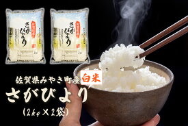 【ふるさと納税】【農家指定】さがびより4kg（2kg×2）みやき町産白米 国産 佐賀県産 家庭用 お取り寄せ 農家直送 送料無料（DW006）