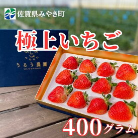 【ふるさと納税】【2025年11月中旬～2026年4月発送】極上いちご 400g（GF005）