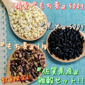 【ふるさと納税】佐賀県産もち麦1kg・精麦もち麦500g・黒米500g（CI089）