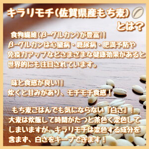 アイテムID:495660の画像2枚目