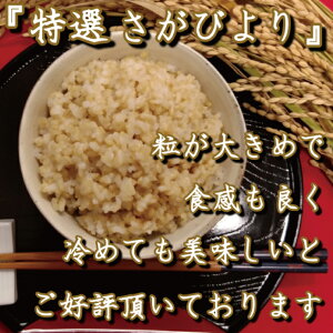 アイテムID:495639の画像3枚目