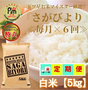 yӂ邳Ɣ[Łzy6ցzт蔒5kg y܂ă}CX^[IIz iCID40j