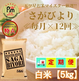 楽天市場 ふるさと納税 米 定期便の通販