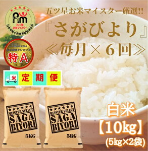 yӂ邳Ɣ[Łzy6ցzт蔒10kgi5kg×2܁j y܂ă}CX^[IIz iCID43j