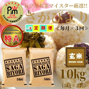yӂ邳Ɣ[Łzጺā₳т10kgi5kg×2܁jy3ցz y܂ă}CX^[IIz iCID47j