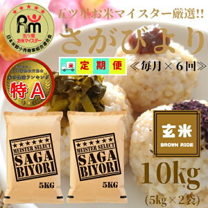 yӂ邳Ɣ[Łzጺā₳т10kgi5kg×2܁jy6ցz y܂ă}CX^[IIz iCID49j