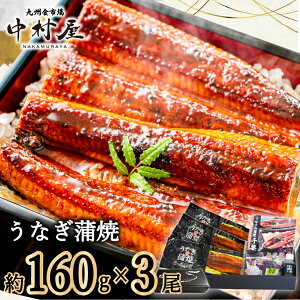 yӂ邳Ɣ[Łz`y@Ȃ̊ā@@I@Y160g×3(FM063)