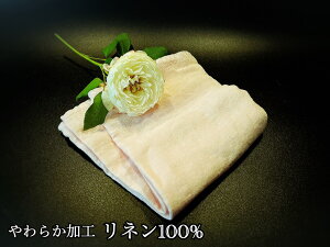 yӂ邳Ɣ[Łz_炩H̃l100̃tFCX^I1iIWipXesNjiEG105j