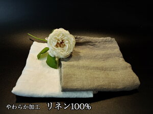 yӂ邳Ɣ[Łz_炩H̃l100̃tFCX^I2izCgi`jiEG108j