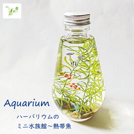 【ふるさと納税】 Aquarium～熱帯魚 フラワーアレンジメント（ハーバリウム）（FH019）