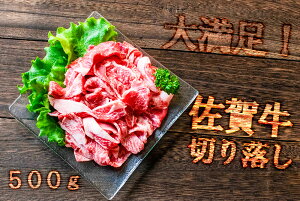 yӂ邳Ɣ[ŁzŷƒɁIzꋍ؂藎Ƃ500giFK027j