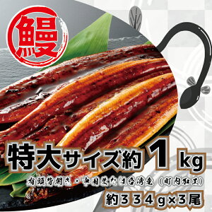 yӂ邳Ɣ[ŁzTCYv1kg̗LVΏ 1334gO×3iERtjiFK037j