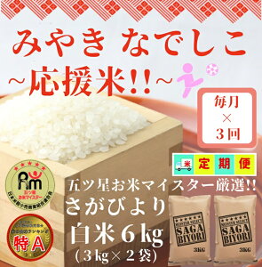 yӂ邳Ɣ[Łzy݂₫Ȃłzāy3ցzт蔒6kgi3kg×2܁jiCID63j