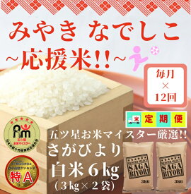 【ふるさと納税】【みやきなでしこ】応援米【12回定期便】さがびより白米6kg（3kg×2袋）（CI468）