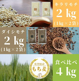 【ふるさと納税】 佐賀県産『もち麦』食べ比べ！キラリモチ2kg、ダイシモチ2kg（CI202）