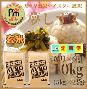 yӂ邳Ɣ[ŁzwVė\񏉉2025N10xy6ցzāwx10kgi5kg×2܁j y܂ă}CX^[IIziCID02j