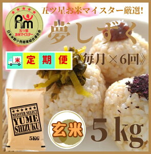 yӂ邳Ɣ[ŁzwVė\񏉉2025N10xy6ցzāwx5kg y܂ă}CX^[IIziCID01j