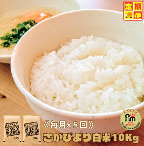 yӂ邳Ɣ[Łzy5ցzт蔒10kgi5kg×2܁jy܂ă}CX^[IIziCID42j