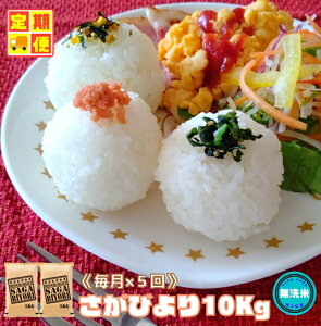 yӂ邳Ɣ[Łzy5ցzĂт10kgi5kg×2܁jiCID54j