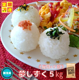 【ふるさと納税】『新米予約初回2025年10月発送』【5回定期便】無洗米『夢しずく』5kg 【五つ星お米マイスター厳選！】（CIC96）