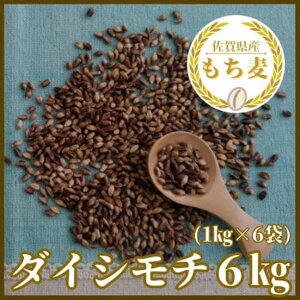 yӂ邳Ɣ[ŁzꌧYwx6kg(1kg×6)y_CV`ziCIB99j