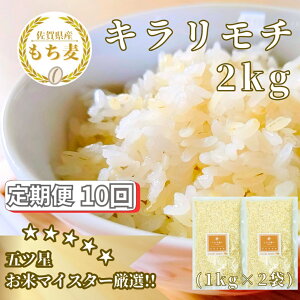 yӂ邳Ɣ[Łzy10ցzL`2kg  L ͂iCIB31j