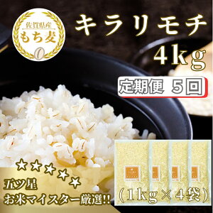 yӂ邳Ɣ[Łzy5ցzL`4kg  L ͂iCIC16j
