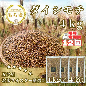yӂ邳Ɣ[Łzy12ցz_CV`4kg  L ͂iCIC20j